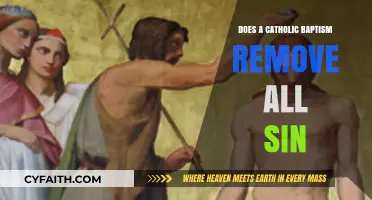 Baptism: A Catholic's Purification from Sin
