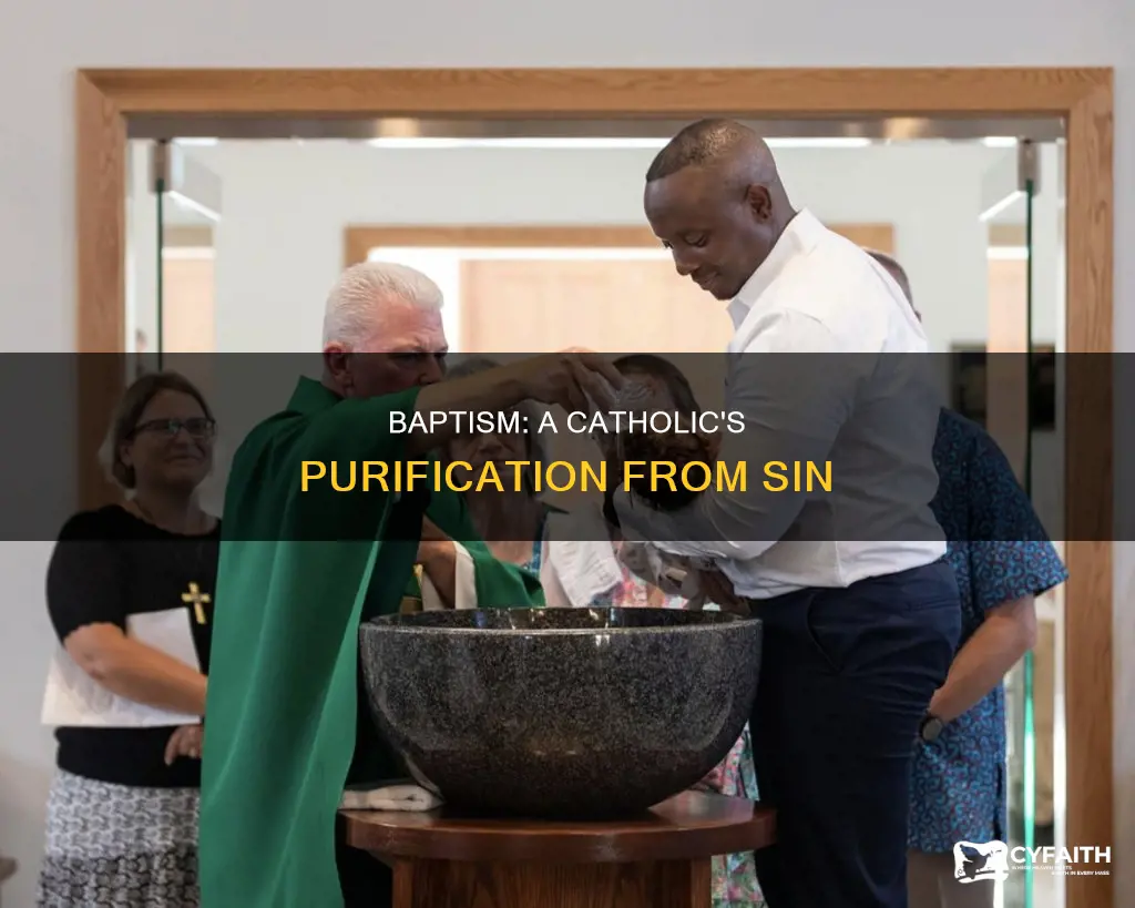does a catholic baptism remove all sin