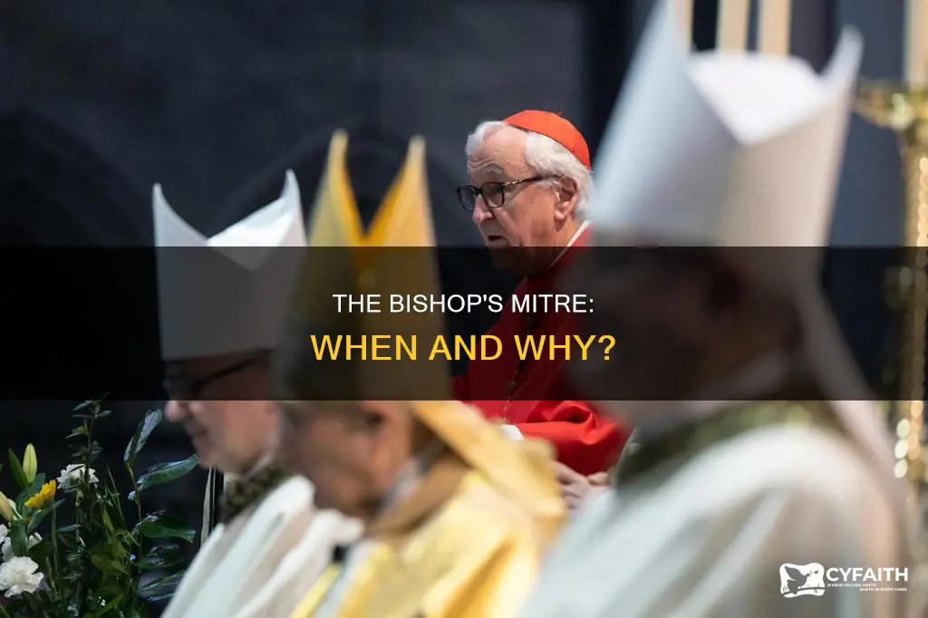 does a catholic bishop designate wear mitre