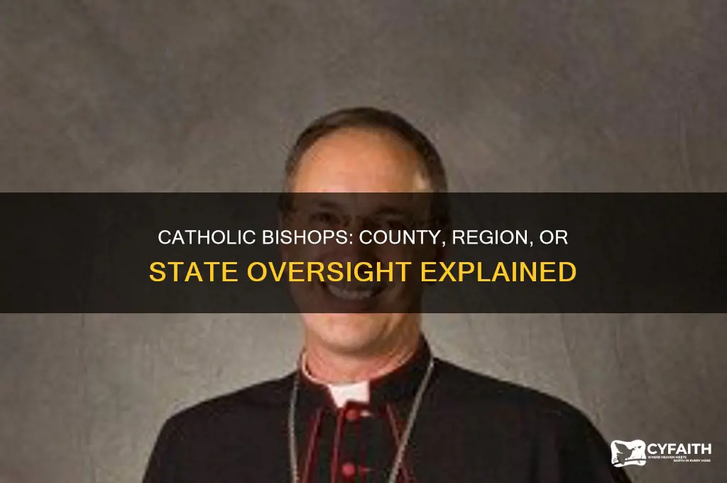 does a catholic bishop oversee a county region or state