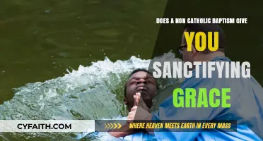 Non-Catholic Baptism: Does It Confer Sanctifying Grace?
