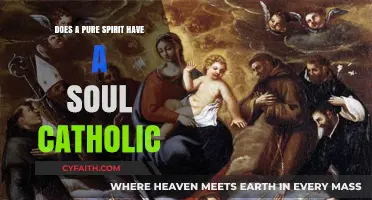 The Spirit and Soul: Catholic Perspective