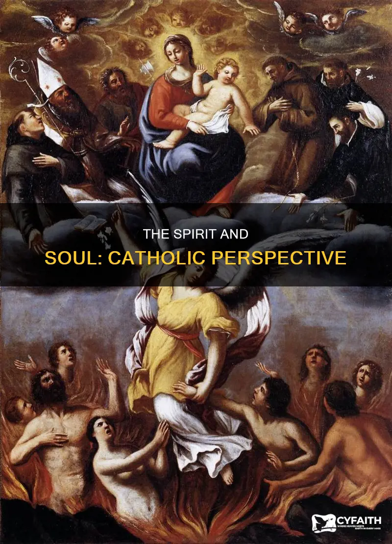 does a pure spirit have a soul catholic