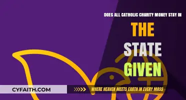 Does Catholic Charity Funding Remain Within State Borders?