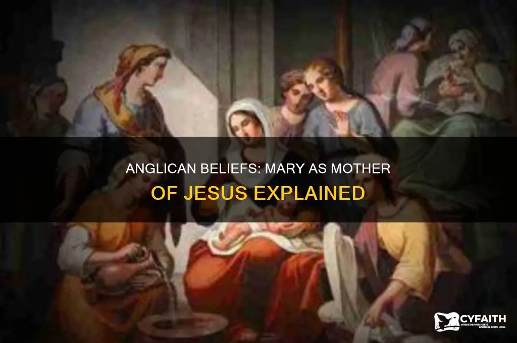 does anglican believe mary is mother of jesus