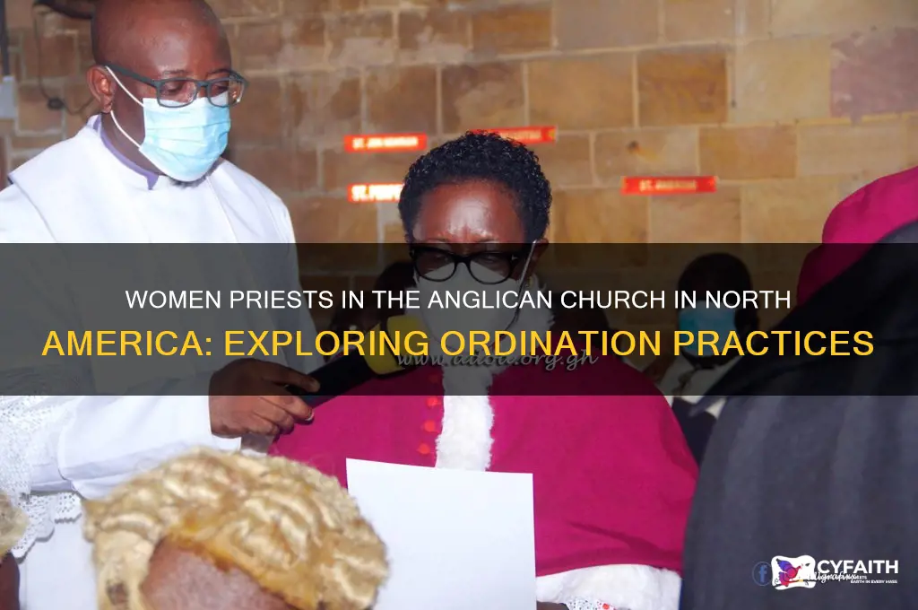 does anglican church in north america have women priests