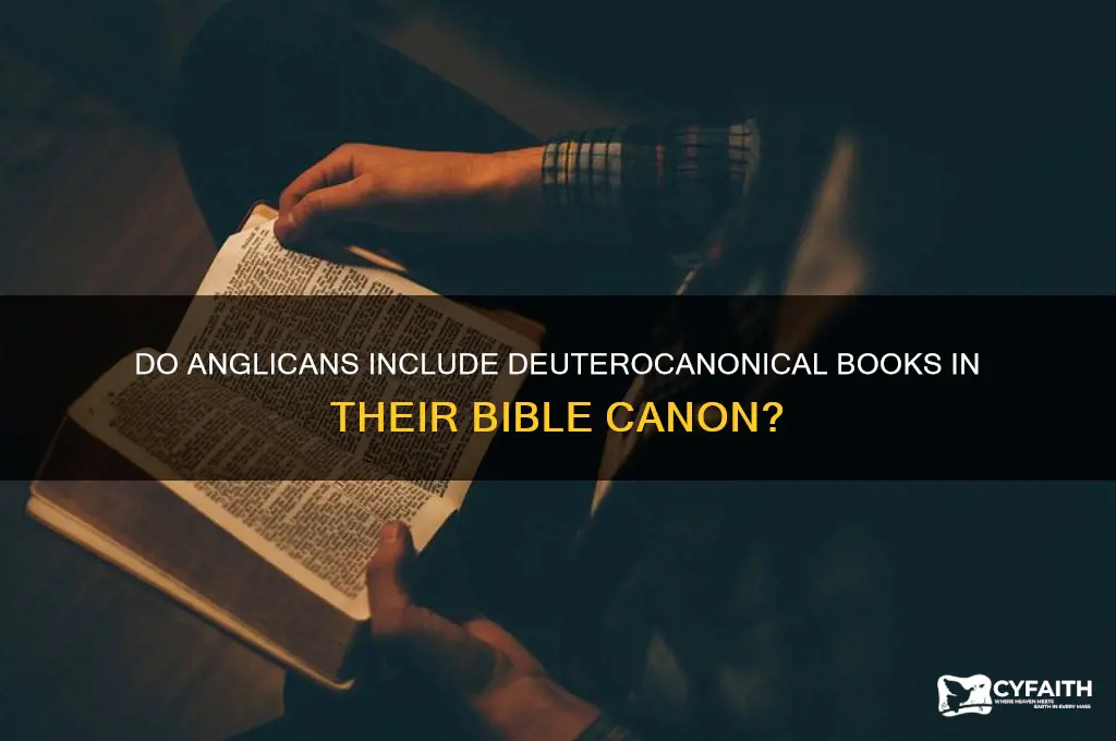 does anglican church use deuterocanonicals
