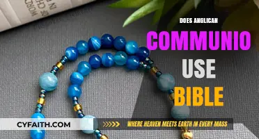 Does the Anglican Communion Use the Bible? Exploring Scriptural Role