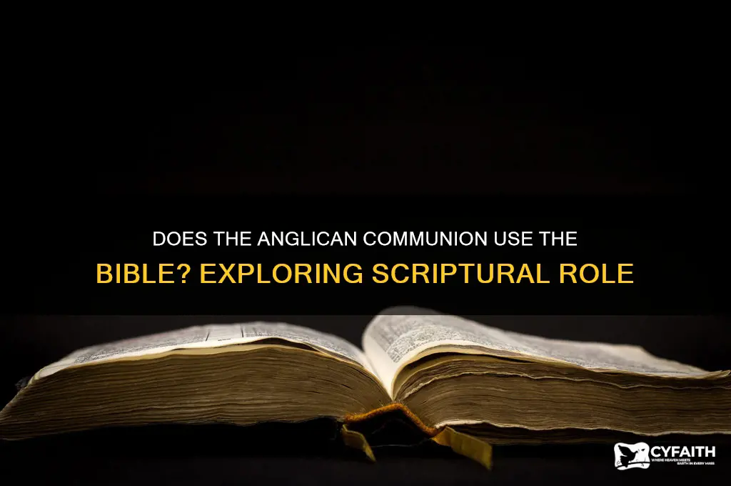 does anglican communion use bible