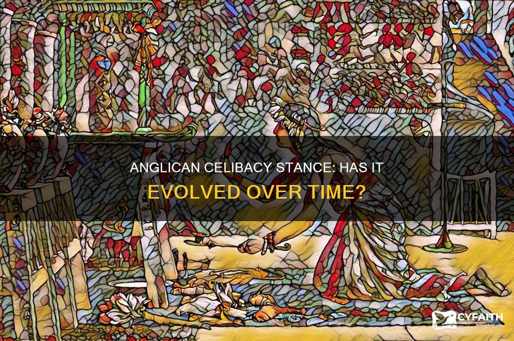 does anglican stance on celibacy change