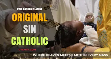 Baptism: Cleansing Original Sin in Catholic Faith