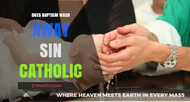 Baptism: A Catholic's Path to Sinless State