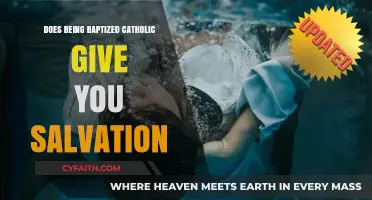Baptism and Salvation: Catholic Baptism Explained