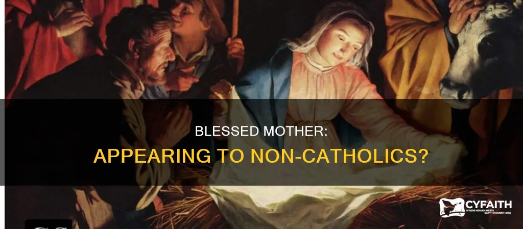does blessed mother ever appear to non catholics