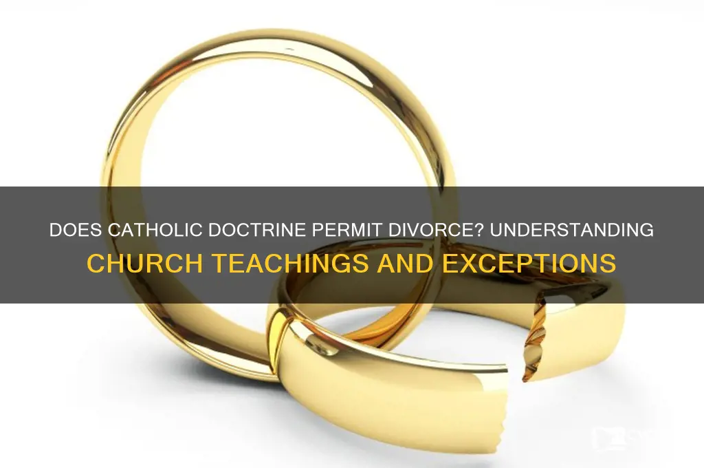 does catholic allow divorce