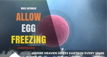Catholic Teachings on Egg Freezing: Ethical Considerations and Guidelines