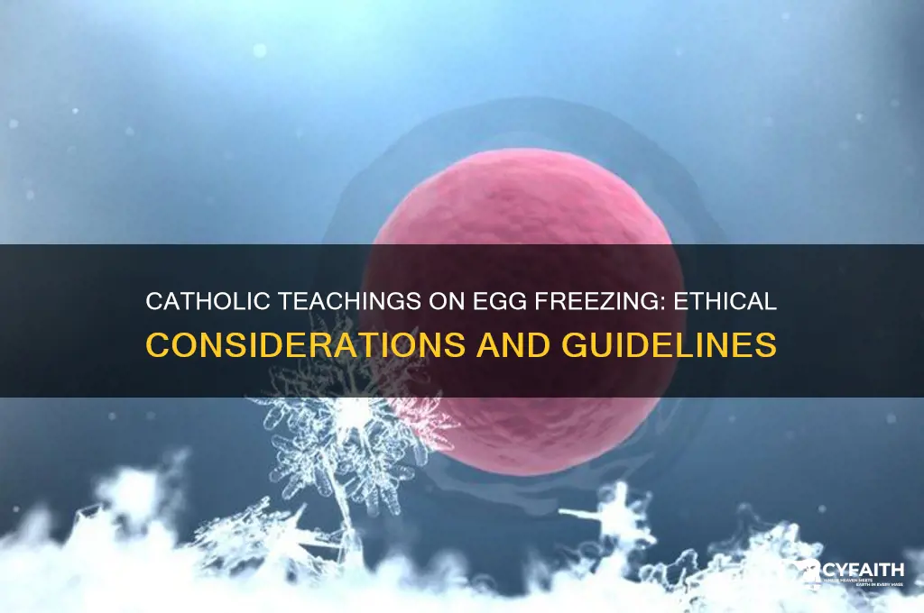 does catholic allow egg freezing