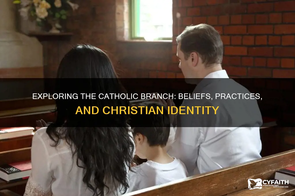 does catholic branch of christianity