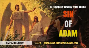 Catholic Catechism: Original Sin of Adam