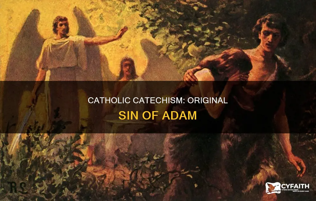 does catholic catahism teach original sin of adam