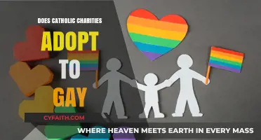 Gay Adoption: Catholic Charities' Stance
