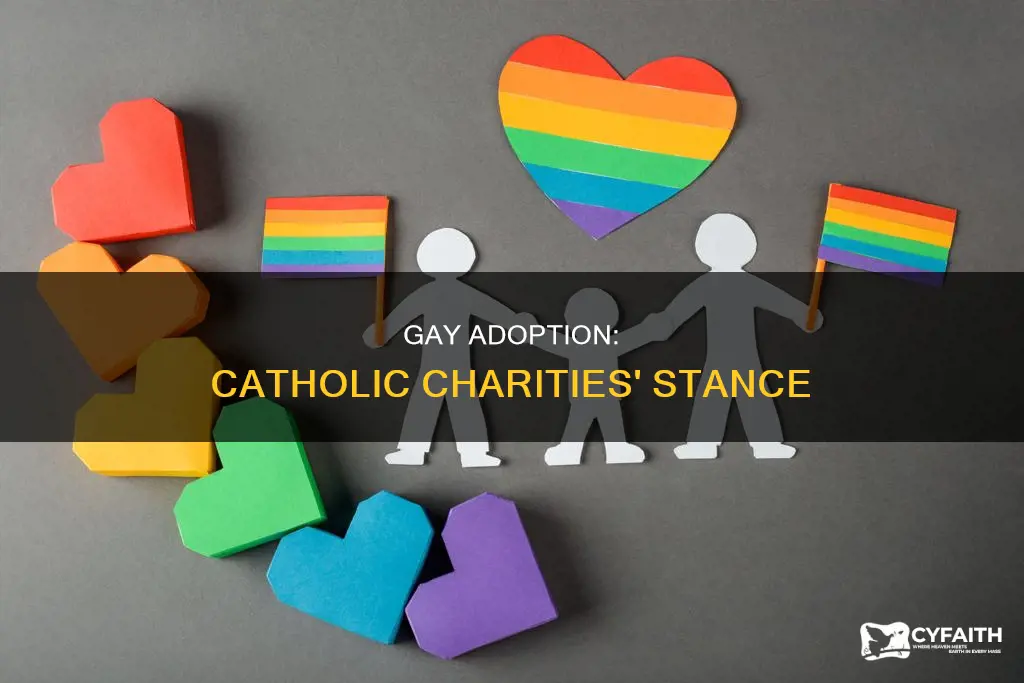 does catholic charities adopt to gay