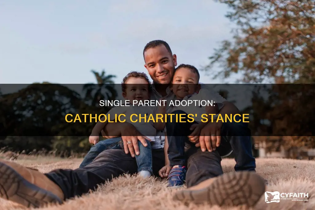 does catholic charities adoption to single parent