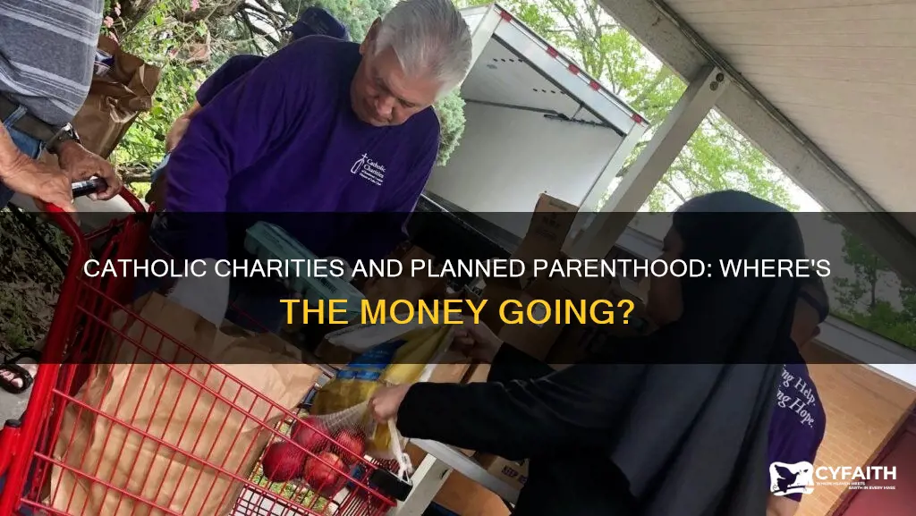 does catholic charities donate to planned parenthood