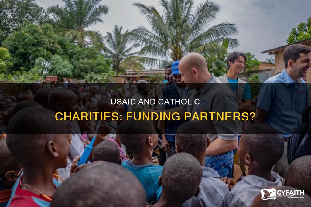 does catholic charities get funding from usaid