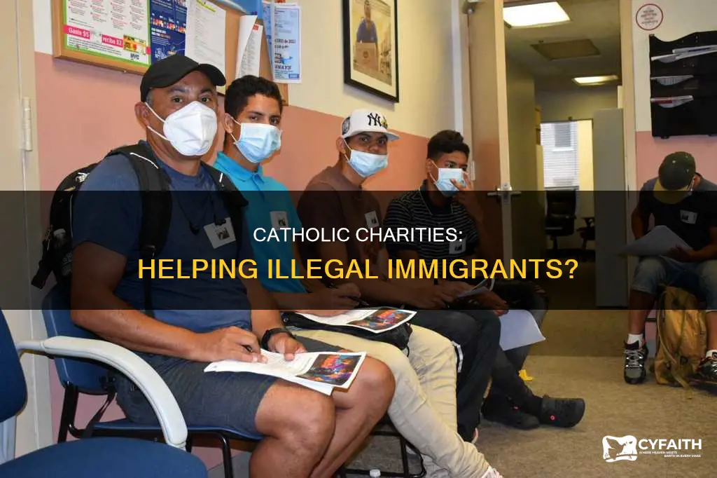 does catholic charities help illegal immigrants