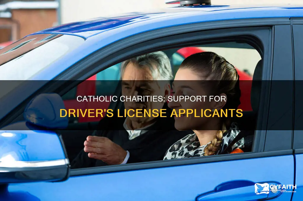 does catholic charities help with drivers license