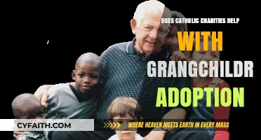 Catholic Charities: Grandchildren Adoption Support