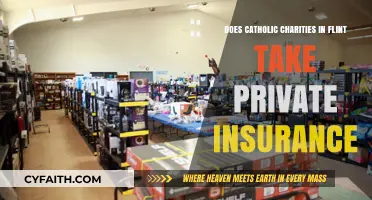 Catholic Charities in Flint: Private Insurance Coverage?