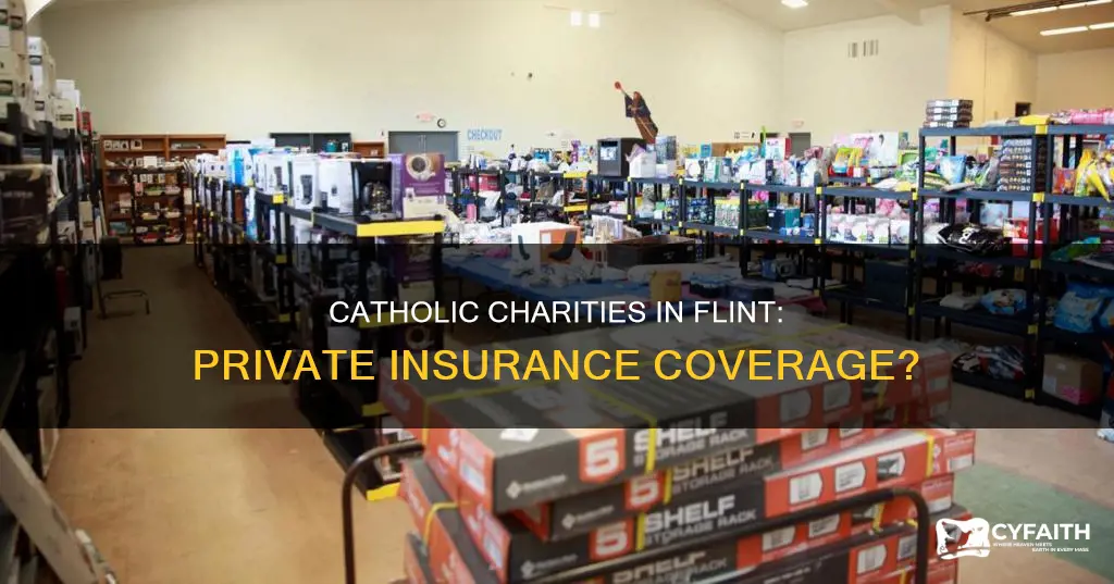 does catholic charities in flint take private insurance