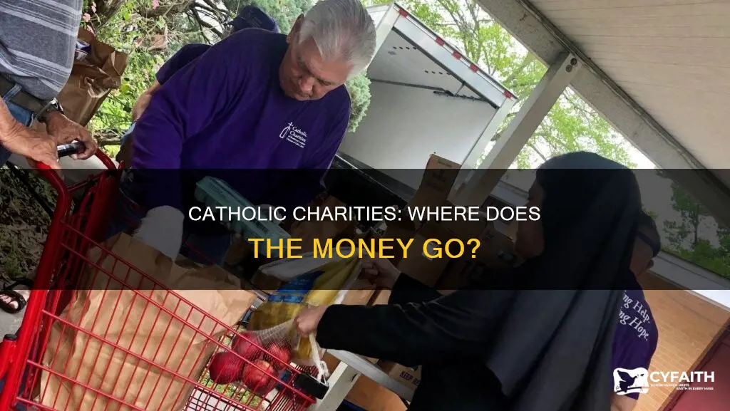 does catholic charities keep money collected local