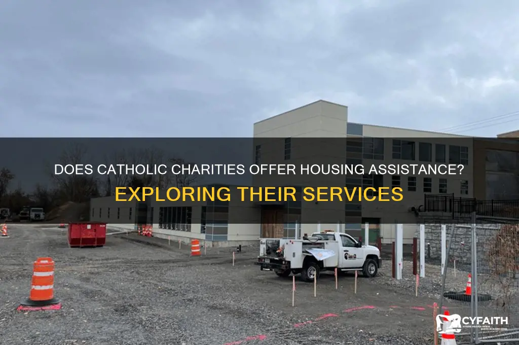 does catholic charities provide housing