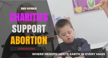 Catholic Charities' Stance on Abortion: Clarifying the Church's Position