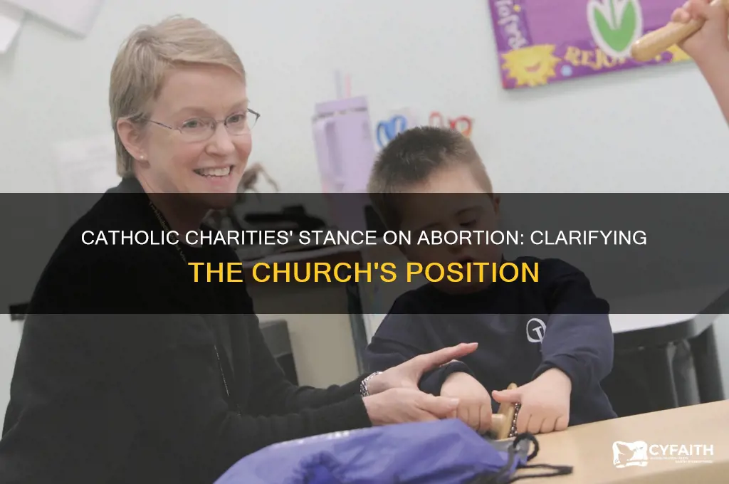 does catholic charities support abortion