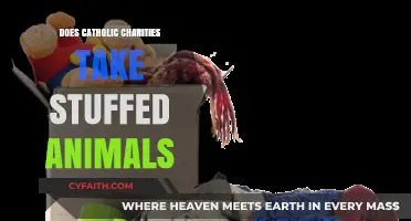 Donate Gently Used Stuffed Animals to Catholic Charities