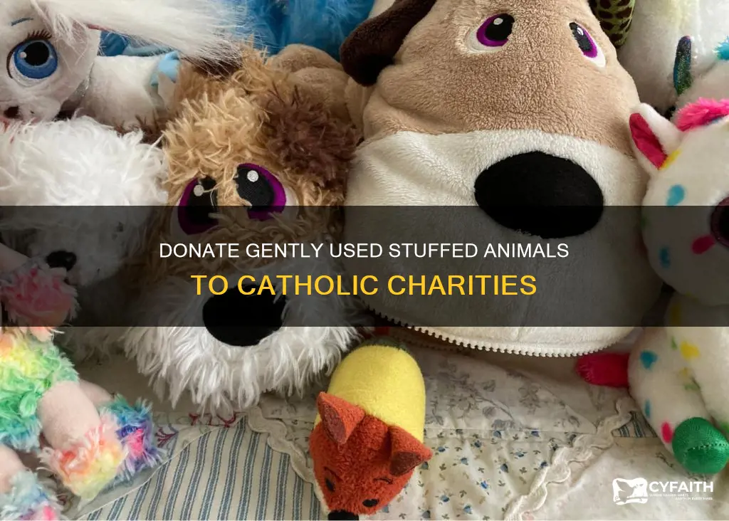 does catholic charities take stuffed animals