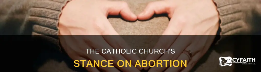 does catholic chirch allow for abortion