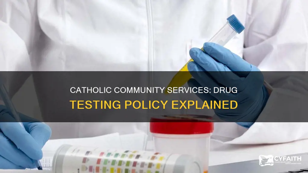 does catholic community services drug test