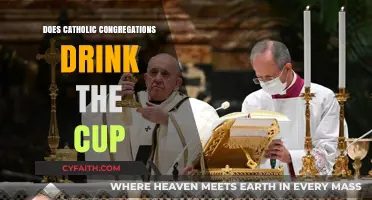 Communion in the Catholic Church: Drinking from the Cup