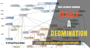 Is Catholicism a Denomination?