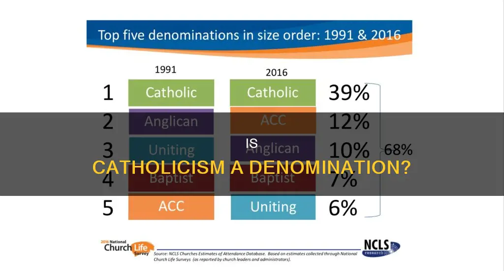 does catholic consider itself a deomination
