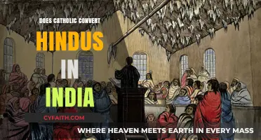 Hindus in India: Catholic Conversion Efforts
