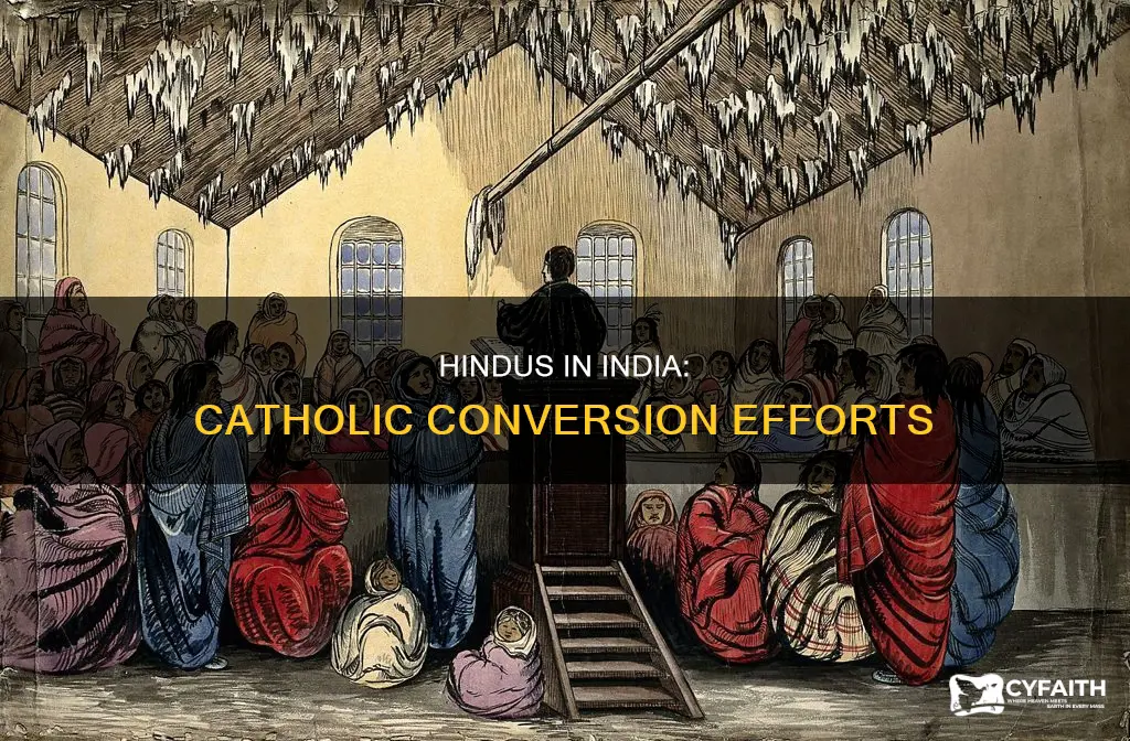 does catholic convert hindus in india