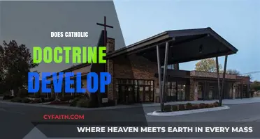 Does Catholic Doctrine Evolve? Exploring Development and Tradition