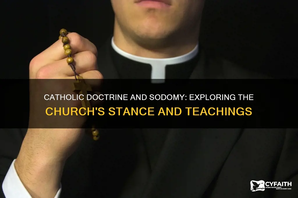 does catholic doctrine prohibit sodomy