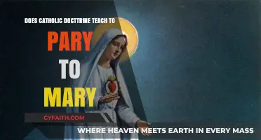 Mary in Catholic Doctrine: Prayer or Worship?